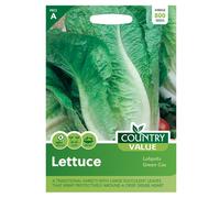 Country Value Lettuce Lobjoits Green Seeds