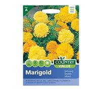 Country Value Marigold Double Mixed Seeds