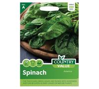 Country Value Spinach America Seeds
