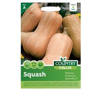 Country Value Squash Winter Butternut Seeds