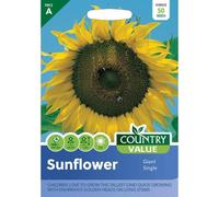 Country Value Sunflower Giant Single Seeds