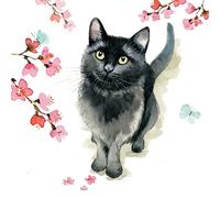 Countryside Collection Card - Black Cat & Blossom
