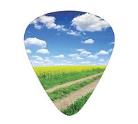Countryside Road Guitar Picks Picks 12 Pack with Thin Box,Countryside Road on Field of Rapeseeds into Nature Season Freshness,Special Guitar Plectrums Gift Set for Guitarist,Green Blue White