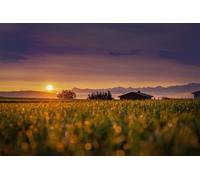 Countryside Sunset-7000-Piece Puzzle: The Most Beautiful Indoor Decor Games 14 years+