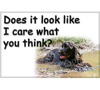 CountryStyle Gifts Black Cocker Sprocker Spaniel Fun, Playful Fridge Magnet - 1 count, 95mm x 65mm Acrylic, Perfect Christmas or Birthday Gift