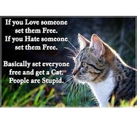 CountryStyle Gifts Tabby Cat Funny Fridge Magnet - Large Acrylic Rectangular for Cat Lovers