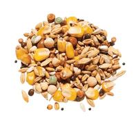Countrywide All-Rounder Pigeon Feed Mix 20 kg