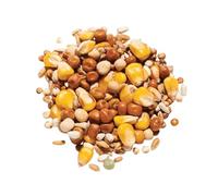 Countrywide All Seasons Pigeon Feed Mix 20 kg