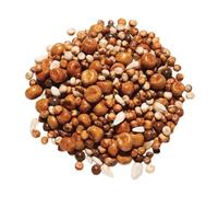 Countrywide Concorde Pigeon Seed Mix 20kg - Premium Mixture For Young Pigeons - Protein & Oil Rich - Easily Digestible - Dust Free Ingredients