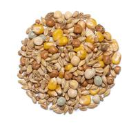 Countrywide Stock Bird Pigeon Seed Mix 20kg - All Year Round - Quality Dust Free Corn - Includes Maple Peas & French Roundberry Maize