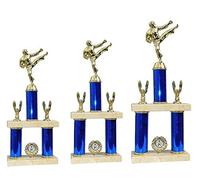 County Engraving Large Martial Arts Kick Boxing Award Trophy Tier Column American Style Award - Enter Your Own Custom Text (Large)