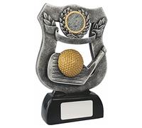 County Engraving Personalised 18cm Antique Silver Resin 3D Golf Shield Trophy Award Engraved - Enter Your Own Custom Text