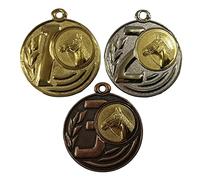 County Engraving Personalised 1st, 2nd, 3rd Place Horse Riding Equestrian Medals Supplied With Choice Of Ribbon Colours