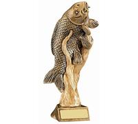 County Engraving Personalised Antique Gold Resin Carp Fishing Angling Trophy, Any Text Engraved - Enter Your Own Custom Text