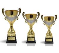 County Engraving Personalised Atlanta Gold And Silver Presentation Cup Trophy Award for Any Sport - Enter Your Own Custom Text (Medium)