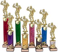County Engraving Personalised Gold Body Builder Men's Physique Column Trophy Engraved With Any Text (28.5cm)