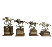 County Engraving Personalised Gold Equestrian Horse Racing Trophy Award In 4 Sizes Any Text Engraved - Enter Your Own Custom Text