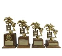 County Engraving Personalised Gold Horse Jumping Trophy Award In 4 Sizes Any Text Engraved - Enter Your Own Custom Text (Large)