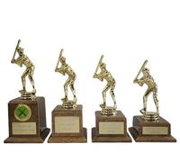 County Engraving Personalised Gold Male Baseball Trophy Award In 4 Sizes Engraved With Any Text (Extra Large)