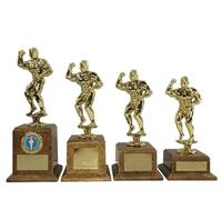 County Engraving Personalised Gold Male Bodybuilder Men's Gym Physique Trophy Award In 4 Sizes Any Text Engraved (Large)