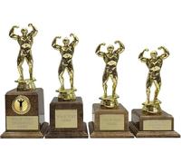 County Engraving Personalised Gold Male Gym Bodybuilder Men's Physique Trophy Engraved 4 Sizes Any Text Engraved (Extra Large)