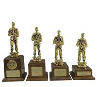 County Engraving Personalised Gold Male Martial Arts Trophy Award Engraved In 4 Sizes - Enter Your Own Custom Text (Medium)
