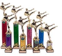 County Engraving Personalised Gold Martial Arts Column Trophy Multi Award Engraved With Your Text (35cm)