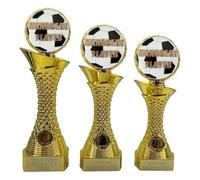 County Engraving Personalised Gold Shard Managers Player Football Trophy Award 3 Sizes Engraved With Any Text - Enter Your Own Custom Text (Small)