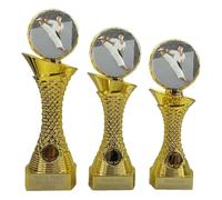 County Engraving Personalised Gold Shard Martial Arts Karate Trophy Award 3 Sizes Engraved With Any Text - Enter Your Own Custom Text (Small)