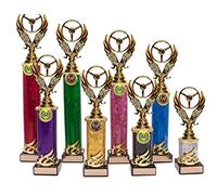 County Engraving Personalised Gold Steering Wheel Motorsport Column Tower Trophy Award Engraved With Any Text (38cm)