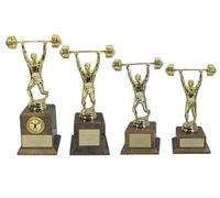 County Engraving Personalised Gold Weightlifting Muscle Gym Fitness Body Building Trophy Any Text Engraved - Enter Your Own Custom Text (Medium)