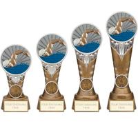 County Engraving Personalised Ikon Swimming Trophy Award In 4 Sizes Engraved - Enter Your Own Custom Text (Large)