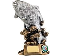County Engraving Personalised Large Antique Silver And Gold Carp Fishing Angling Trophy Any Text Engraved - Enter Your Own Custom Text