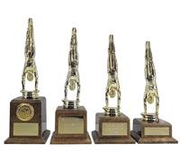 County Engraving Personalised Male Gymnast Gold Gymnastics Trophy Award Engraved With Any Text - Enter Your Own Custom Text (Medium)