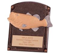County Engraving Personalised Most Fish Caught Fishing Award Trophy Plaque Engraved With Any Text - Enter Your Own Custom Text