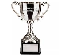 County Engraving Personalised Nickel Plated Canterbury Prestigious Presentation Cup Trophy Award, Ideal for Any Sport - Enter Your Own Custom Text (205mm)