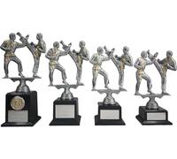 County Engraving Personalised Silver Double Karate Martial Arts Trophy Award Engraved With Any Text (Large)
