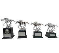 County Engraving Personalised Silver Equestrian Horse Racing Trophy Award In 4 Sizes Any Text Engraved - Enter Your Own Custom Text
