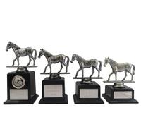 County Engraving Personalised Silver Equestrian Horse Trophy Award In 4 Sizes Any Text Engraved - Enter Your Own Custom Text