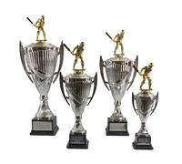 County Engraving Personalised Silver Presentation Cup Gold Male Cricket Trophy Award Engraved - Enter Your Own Custom Text (Medium)