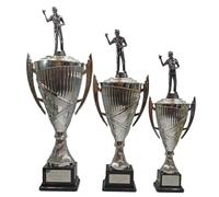 County Engraving Personalised Silver Presentation Cup Male Darts Trophy Award Engraved - Enter Your Own Custom Text (Large)