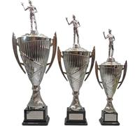 County Engraving Personalised Silver Presentation Cup Male Darts Trophy Award Engraved - Enter Your Own Custom Text (Extra Large)
