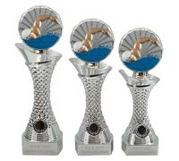 County Engraving Personalised Silver Shard Male Swimming Trophy Award 3 Sizes Engraved With Any Text - Enter Your Own Custom Text (Small)