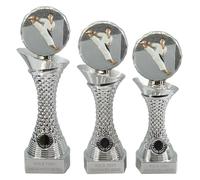 County Engraving Personalised Silver Shard Martial Arts Karate Trophy Award 3 Sizes Engraved With Any Text - Enter Your Own Custom Text (Large)