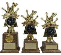 County Engraving Personalised Ten Pin Bowling Bowls Trophy Award 3 Sizes Engraved With Any Text (Medium)