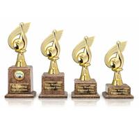 County Engraving Personalised Ten Pin Bowling Trophy Award In 4 Sizes Engraved With Any Text (Medium)