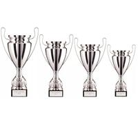 County Engraving The EuroStars Personalised Silver Metal Presentation Cup Trophy In 4 Sizes Engraved For Any Sport - Enter Your Own Custom Text (Large)
