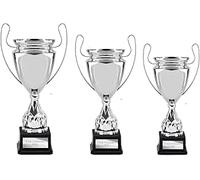 County Engraving The Gigantica Personalised Silver Metal Presentation Cup Trophy 3 Sizes Engraved For Any Sport - Enter Your Own Custom Text (Small)