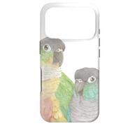 couple lover Green cheeked conure parrot watercolor painting Case for iPhone 17 Pro