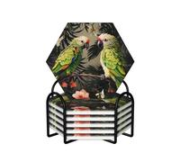 Couple Parrots Olive Coasters Set of 6 Ceramic Coaster with Holder Absorbent Coasters for Drinks Heat Resistant Coffee Table Coasters Cup Pad for Kitchen Office Home Decoration